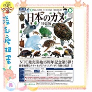 ♧溢起瘋扭蛋♧ 6月預購  IKIMON 扭蛋 轉蛋  NTC圖鑑-日本烏龜 特裝版 烏龜 海龜 陸龜 全6款