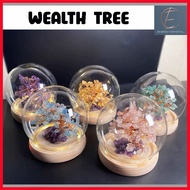 SG Crystal Wealth Tree With Cover Fortune Tree Treasure Tree Wealth Ornament