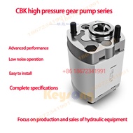 CBK gear pump CBK - F2.1 / F1.6 / F3.2 / F4.8 / F6.8 / F7 / CBK - F8.0 / F9.8 micro gear pump CBK - 