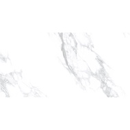 Hainhu House of Homes Hawk Ceramics K8GF10DE