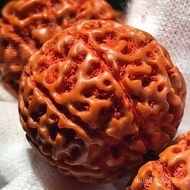 Wenwan 7 Buddha Beads Bodhi Seed Pulp Handheld Men Women 9 Machines 8 Bracelet Brush Eight King Kong