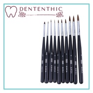 Porcelain Dental Brush / Dental Brush Composite