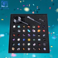 [Gazechimp] Rock Collection for and Mineral Collection Tools Geology Science Stem Toys for Kids Adul