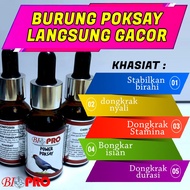 Bird SEKETHICS GRINDER POKSAY BIOPRO POWER POKSAY JOS PROVEN HANDLING