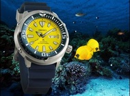 限量版 精工 潛水錶 Seiko Prospex X Blue Butterfly Fish