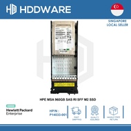 HPE MSA 960GB SAS RI SFF M2 SSD // P14033-001 // R0Q46A // KPM51RUG960G // SDFBE06NHA01