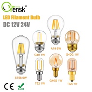 E27 DC 12V 24V LED Light Bulb A19 G40 T22 ST58 Low Voltage Filament Bulb E12 E14 1W 6W Warm White Le