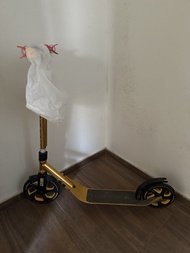 大人青少年滑板車Gold Scooter for Adults or teenagers 成人大朋友滑行走