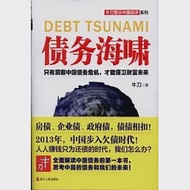 債務海嘯：只有洞察中國債務危機，才能保衛財富未來 作者：牛刀