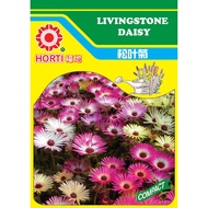 Singapore Horti Flora Pte Ltd Livingstone Daisy Seeds