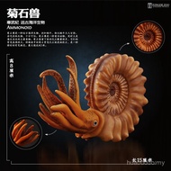 Simulation Right-Angle Beast Ammonite Children's Stone Model Boy Prehistoric Ocean Ancient Children'
