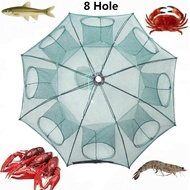 มุ้งดักปลา ดักกุ้ง ขนาด 8ช่อง ได้ปลาแน่นอน พับเก็บง่าย พกพาสะดวก Foldable Fishing Mesh Nylon Crab Shrimp Net Trap Cast Dip Cage Fishing Bait For Fish Minnow Crawfish
