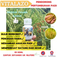VITALAZO 60ML Rice Plant Growth Booster Fertilizer