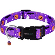 Kolar Anjing Halloween Ktinnead, Kolar Anjing All Saints 1 November, Kolar Haiwan Peliharaan untuk P