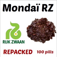 ℗Lettuce Mondai RZ Pelleted Seeds by Rijk Zwaan  | Repacked 100pcs | Original Package 1000pcs