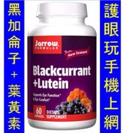 Jarrow Formulas Blackcurrant + Lutein 黑加侖子+葉黃素　  LEX-19926　.