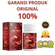 Zhi Wu Obat Obat Asam Urat 30 Kapsul