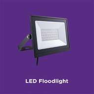 Floodlight ECOLINK LED Spotlight 20W - 100W 6500K White IP65