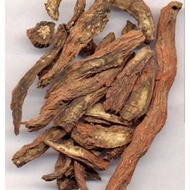 Salvia/ Red Sage Root???100g*1pkt | Salvia/Akar Sage Merah 100g*1pkt
