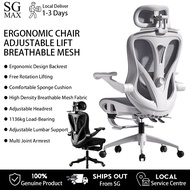 C-71 Ergonomic Home Office Chair with Lumbar Support / Leg Rest Armrest Headrest Computer Gaming Cha