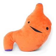 I Heart Guts Stomach Plush - I Ache for You - 10” Stuffed Organ Toy, Gerd, Acid Reflux, IBS or Gastr