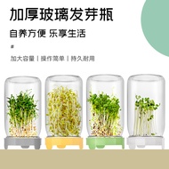Mason jar germination bottle, sprout germination jar, wide-mouth glass jar, bean sprout germination 