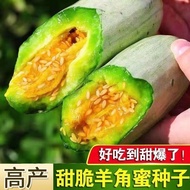 E-commerce Sweet Crispy Claw Honey Seed Melon Crisp Melon Seed Seed Seed Seed Seed Vegetable Seed Cr