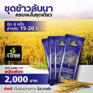 โฟร์ทรี 4Tree ( 4 ซอง ) สารเพิ่มประสิทธิภาพพืช สูตรอิออน ลดต้นทุน เพิ่มผลผลิต ปลอดภัย เป็นมิตรต่อสิ่