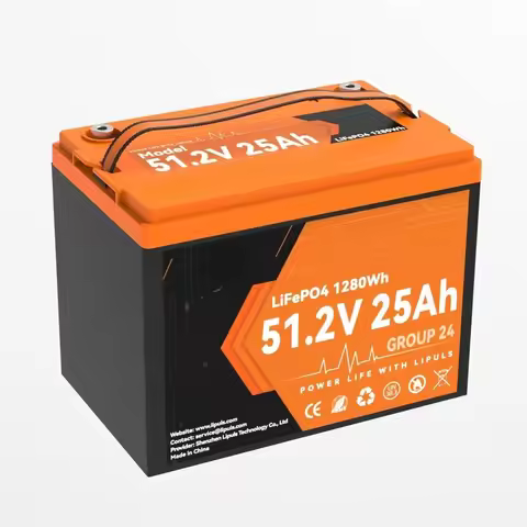 48V (51.2V) 25Ah LiFePO4 Battery, BCI Group 24 Lithium Battery, Deep Cycle Battery with 50A BMS, 256