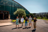 Winery Visit & Setubal Fish Market Tour with Tasting from Lisbon