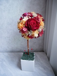 不凋繡球花球樹盆花【橘橙暗紅】開幕禮/新居/名片座/客製化