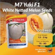 [100 Seeds] M7 Benih Melon Yuki Soon Huat Seeds