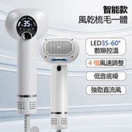 全城熱賣 - 寵物智能吹風乾毛梳 狗貓風乾拉毛機 一體吹風機去毛梳