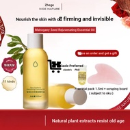 24 Hours Shipping XIGENATURE XIGENATURE Mahogany Seed Oil Facial Essence Oil