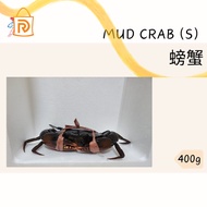 Live Mud Crab 螃蟹 (300-499g)