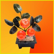 ✗ ✼ ❂ Feng Shui Lucky Charm 3 Kiat Kiat Tree Display