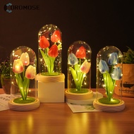 Gift For Women Simulation Tulip Glass Cover Creative Decoration Gift For Valentine's Day Gift