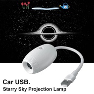 CHAMPIONO LED Starry Sky Lamp, Adjustable Focus Large Range Projection Galaxy Projector, 5V1A USB Po