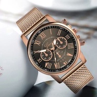 Geneva Mesh Strap Stainless Steel Wome's Wrist Watch