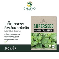 ITALIAN BASIL (Organic) Seeds Organic