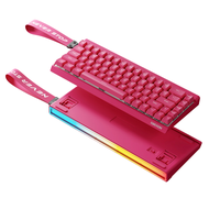 EWEADN DK68 Gaming Keyboard Blue Switch 68 Keys Magnetic Keyboard/Mechanical Keyboard/Rechargeable