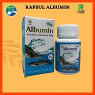 Albumin Fit Snakehead Fish Extract Capsules 60 Capsules