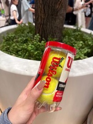 網球 Wilson tennis ball