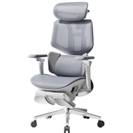 Hbada X7 Smart Ergonomic Chair- with Dynamic Lumbar Support 4D Adjustable Headrest & 720° Rotating A