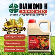 (4L) Humic Acid Baja Asas Merawat Dan Suburkan Tanah