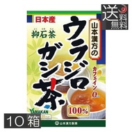 送料無料　山本漢方製薬　ウラジロガシ茶 100% （5g×20包） ×10箱　抑石茶　流石茶　健康茶　ウラジロガシ　裏白樫