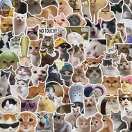 Funny Cat Meme Stickers Funny Cat Stickers 30 pcs kawaii Aesthetic Cat Meme Stickers