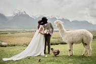 Used laced wedding dress BHLDN watters 同款婚紗裙