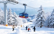 Biwako Valley Full-Day Snow Adventure from Kyoto & Osaka