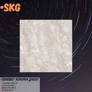 Granit Indogress 60x60 Grey Alaska